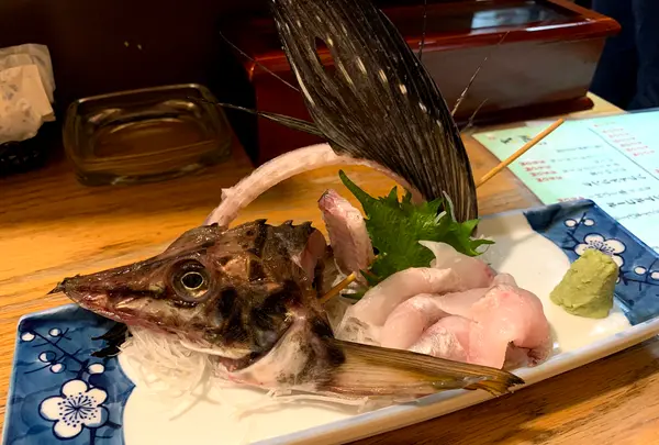 琥羊の写真・動画_image_419296