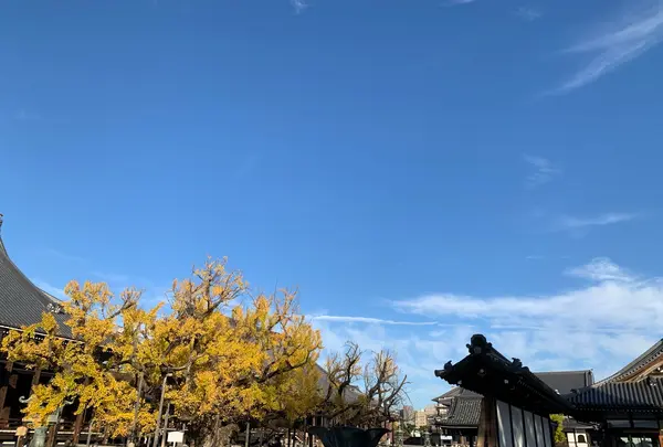 西本願寺の写真・動画_image_419400