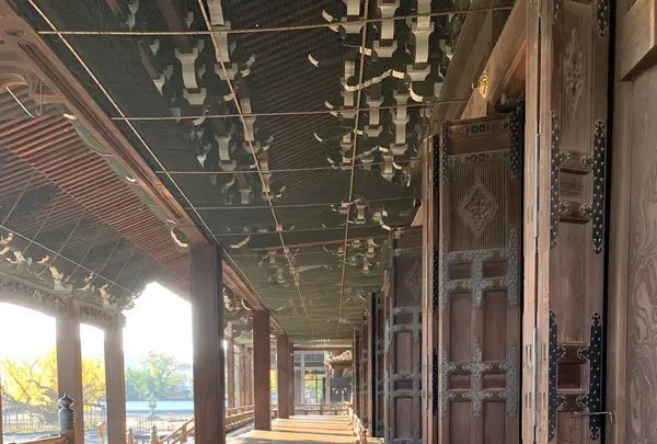 西本願寺の写真・動画_image_419405