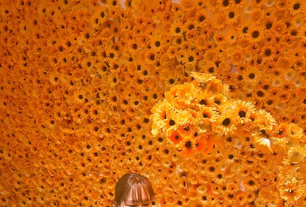 草間彌生美術館の写真・動画_image_419414