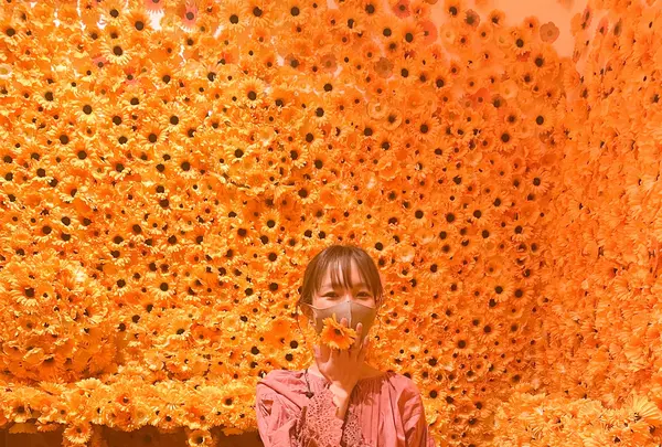 草間彌生美術館の写真・動画_image_419416