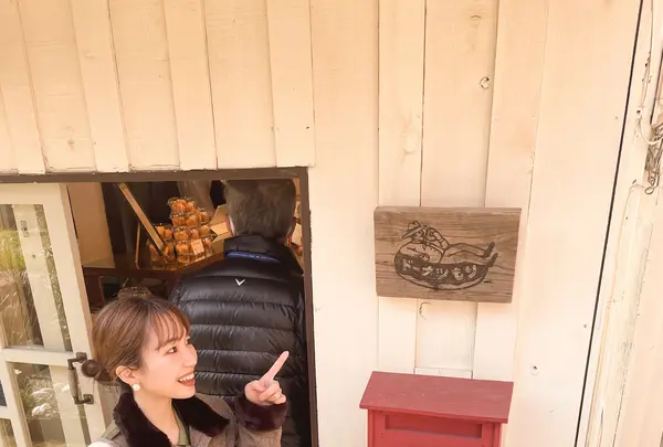 ドーナツ もりの写真・動画_image_419431