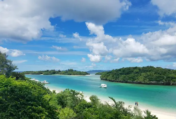 川平湾の写真・動画_image_419455