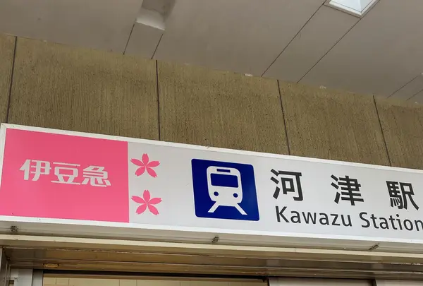 河津駅の写真・動画_image_419460