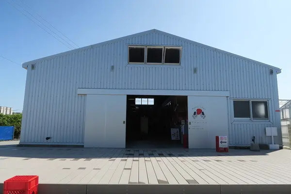 美らイチゴ 南城ハウスの写真・動画_image_419489