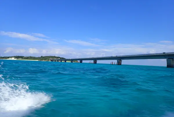 池間島ダイビングサービスの写真・動画_image_419574