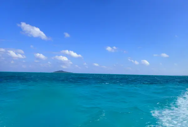 池間島ダイビングサービスの写真・動画_image_419575