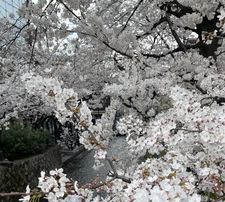 高瀬川一之船入の写真・動画_image_419938
