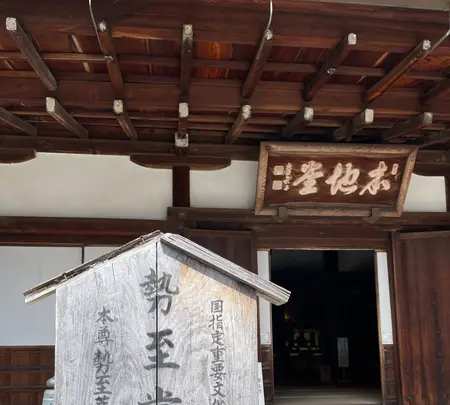 知恩院 勢至堂の写真・動画_image_419957