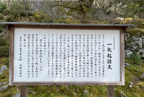 知恩院 勢至堂の写真・動画_image_419958