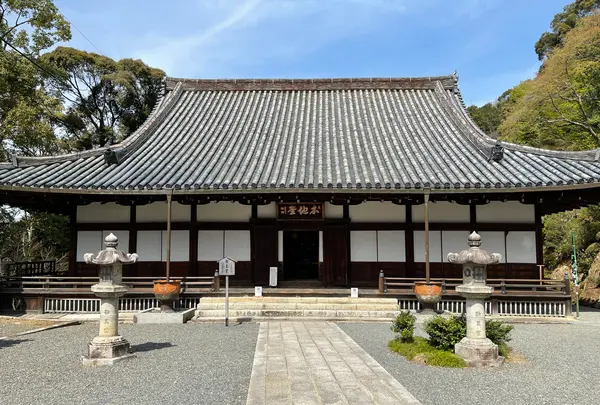 知恩院 勢至堂の写真・動画_image_419959