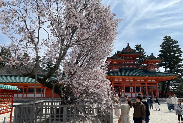 平安神宮の写真・動画_image_420001