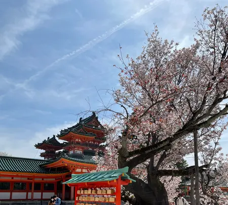 平安神宮の写真・動画_image_420008