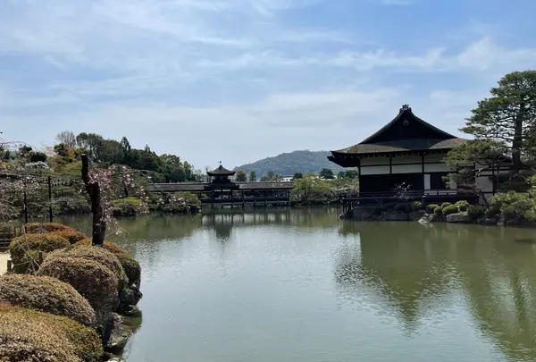 東神苑の写真・動画_image_420014