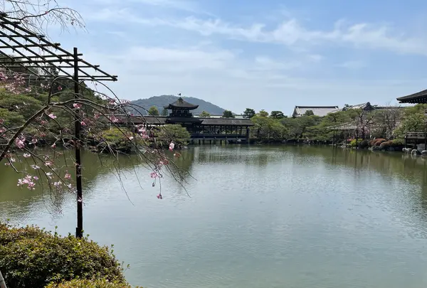 東神苑の写真・動画_image_420016