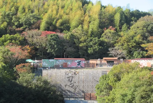 県立淡路島公園の写真・動画_image_420049