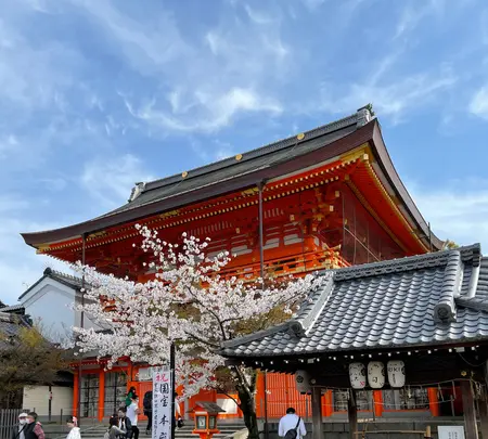 八坂神社の写真・動画_image_420102