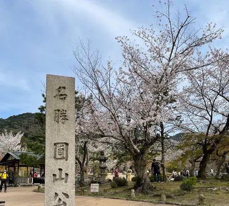 円山公園の写真・動画_image_420194