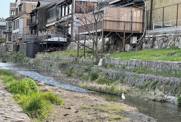 三条大橋の写真・動画_image_420218