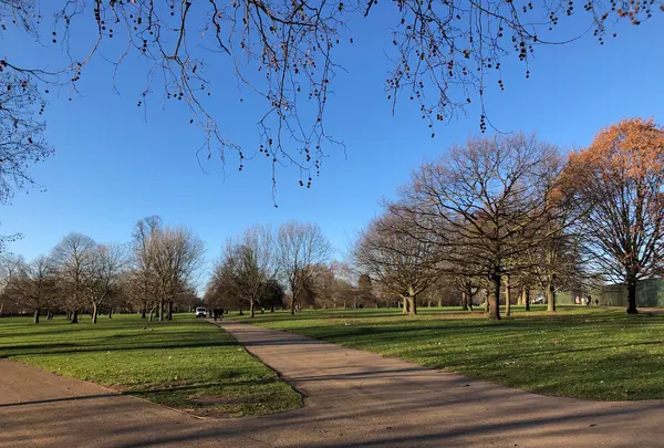 ハイド・パーク（Hyde Park）の写真・動画_image_420343