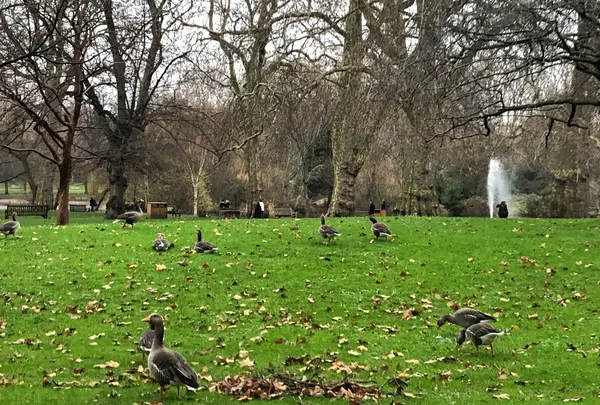 Green Park Stationの写真・動画_image_420345