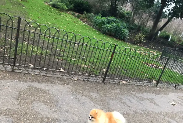 Green Park Stationの写真・動画_image_420347