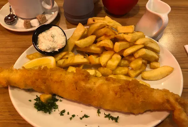 Golden Unionの写真・動画_image_420366