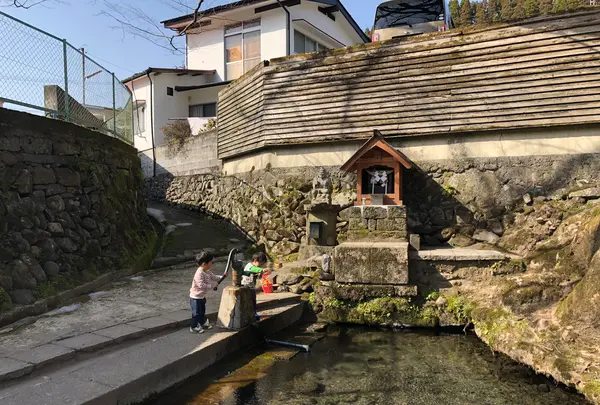 水源けやきの写真・動画_image_420841