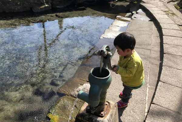 水源けやきの写真・動画_image_420842
