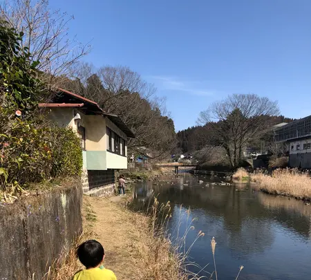 水源けやきの写真・動画_image_420843
