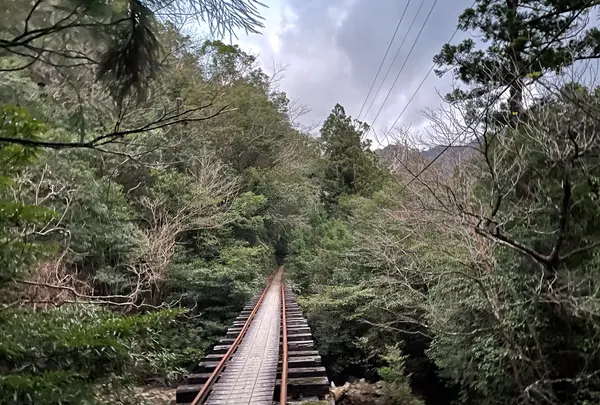 荒川登山口の写真・動画_image_420899