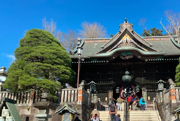 成田山新勝寺 総門の写真・動画_image_420979