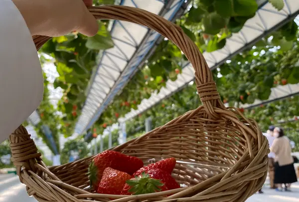 GREENARIUM(グリナリウム)の写真・動画_image_421044