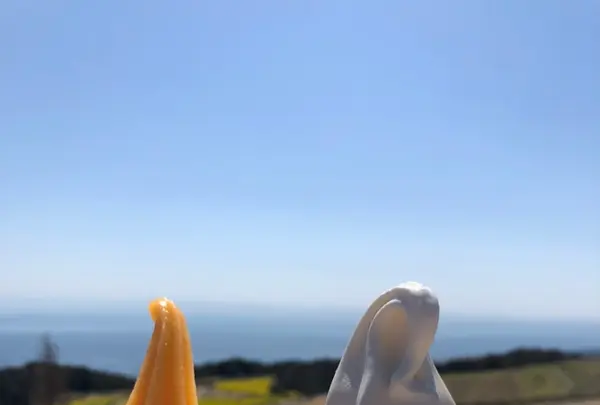 あわじ花さじきの写真・動画_image_421057