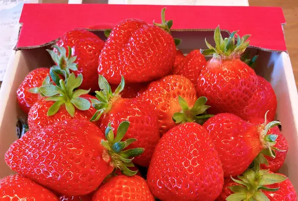 うるう農園の写真・動画_image_421074