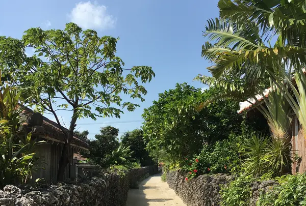 竹富島の写真・動画_image_421163