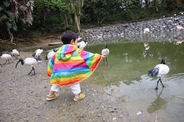 ネオパークオキナワの写真・動画_image_421272