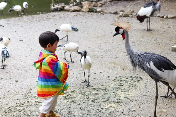 ネオパークオキナワの写真・動画_image_421273