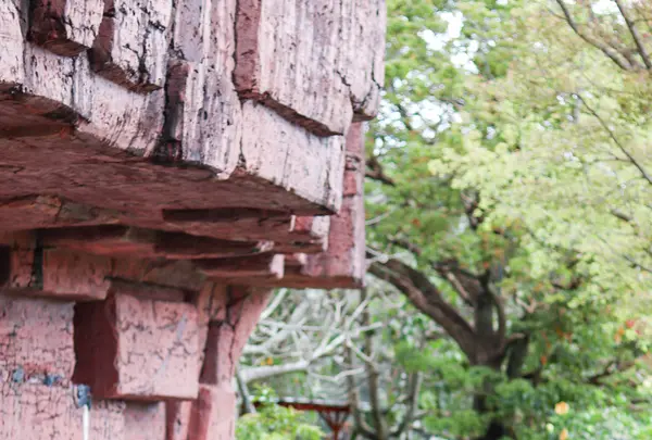 ネオパークオキナワの写真・動画_image_421276