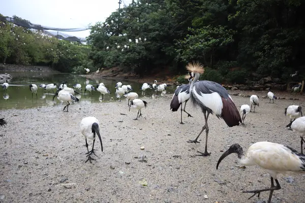 ネオパークオキナワの写真・動画_image_421277