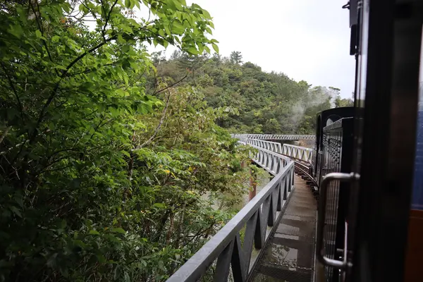 ネオパークオキナワの写真・動画_image_421284