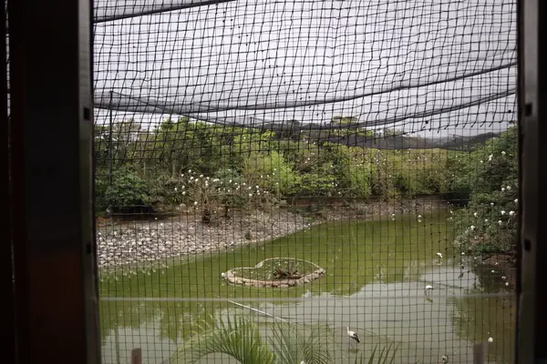 ネオパークオキナワの写真・動画_image_421285