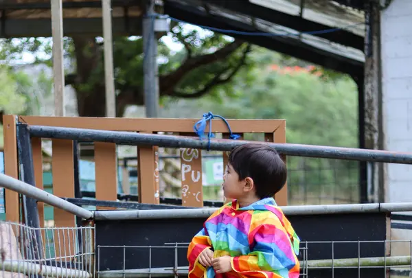 ネオパークオキナワの写真・動画_image_421287