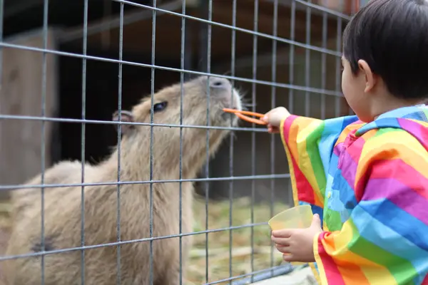 ネオパークオキナワの写真・動画_image_421289