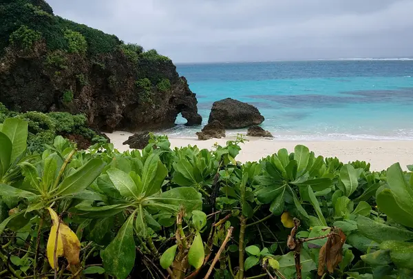 ハート岩(池間島)の写真・動画_image_421295