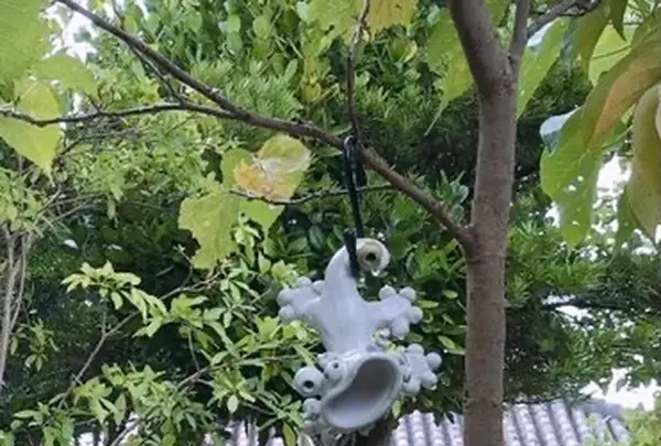 Jyomonya 白いシーサーの写真・動画_image_421307