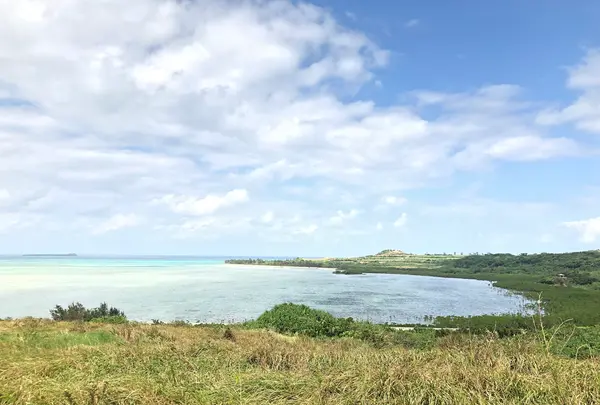小浜島の写真・動画_image_421343