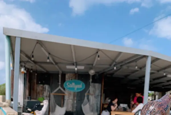 Saltyeedの写真・動画_image_421366