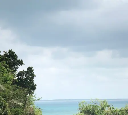 小浜島レンタカーの写真・動画_image_421373