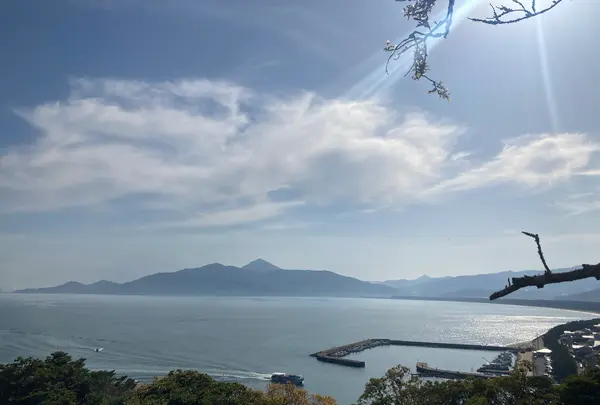 唐津城の写真・動画_image_421395